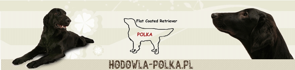 Polka Poland